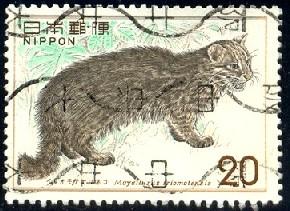 Iriomote Cat, Mayailurus Iriomotensis, Japan SC#1170 used