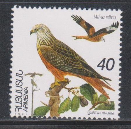 Armenia,  40d Milvus milvus  (SC# 499) MNH