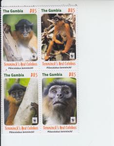 2016 Gambia Red Colobus Monkey WWF B4  (Scott 3725) MNH