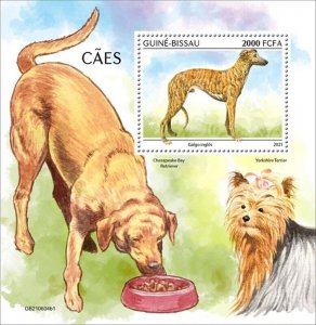 Guinea-Bissau - 2021 Greyhound Dog Breed - Stamp Souvenir Sheet - GB210604b1