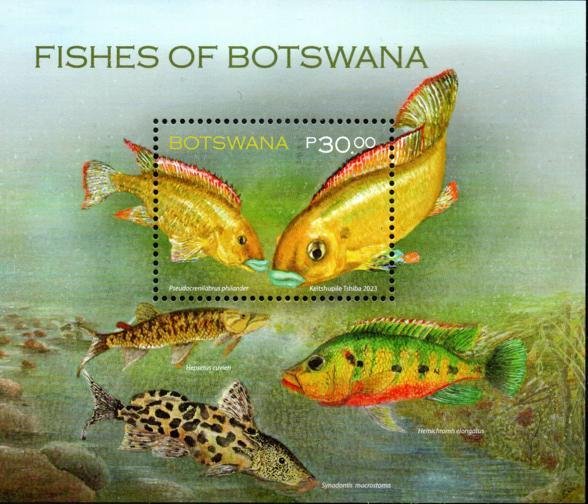 Botswana - 2023 Fishes MS MNH**