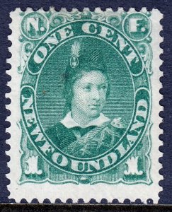Newfoundland - Scott #45 - MNG - SCV $20.00
