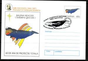 Romania Whales Cover Stationary / 2