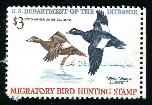 RW36 White Winged Scoters 1969 Duck Stamp Disturbed Gum