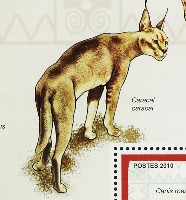 Predators Stamp Black Jackal Canis Mesomelas Souvenir Sheet MNH #3467 / Bl.503