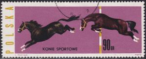 Poland 1193 Sport Horses 1963