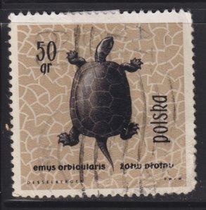 Poland 1136 European Pond Turtle 1963
