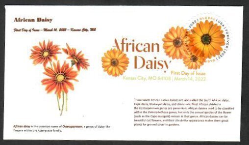 New U.S. global forever stamp features African daisy