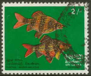 Sri Lanka - 1972 - Scott # 476 - used - Fish