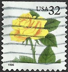 # 3049 USED YELLOW ROSE