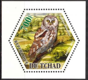 Chad 2014 Birds Owls (3) MNH Cinderella !