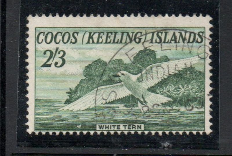 Cocos (Keeling) Islands Sc 6 1963 2/3d  White Tern stamp used