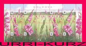 MOLDOVA 2016 Flora Plants WWF Wild Meadow Field Flowers Gladiolus Imbricated s-s