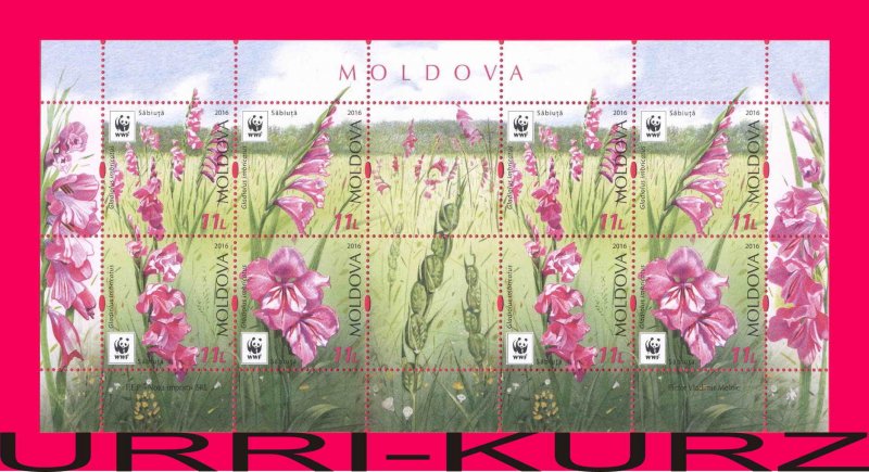 MOLDOVA 2016 Flora Plants WWF Wild Meadow Field Flowers Gladiolus Imbricated s-s