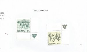 MOLDOVA - 1999 - Sport - Perf 2v Set  - M N H