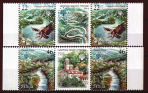 0228 SERBIA 2009 - Nature Protection - Uvac River - Bird - MNH Middle Row