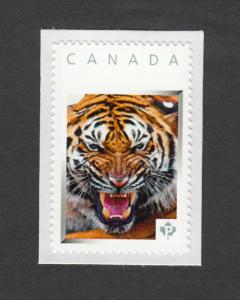 lq. ANGRY TIGER = cat, predator = picture postage stamp MNH Canada 2013 [p3w7/3]