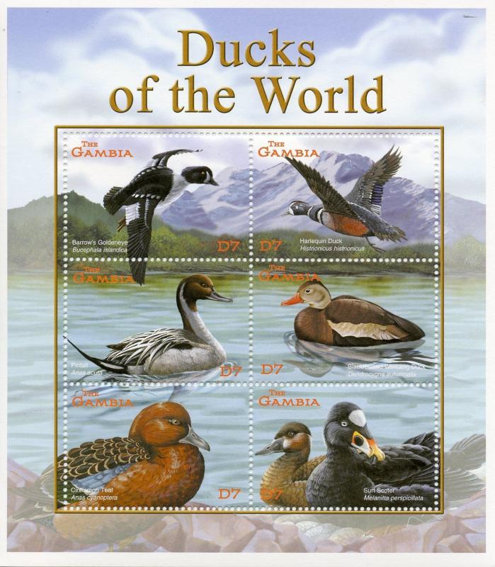 Gambia 2002 MNH Ducks of World 6v M/S II Birds Goldeneye Pintail Scoter Stamps