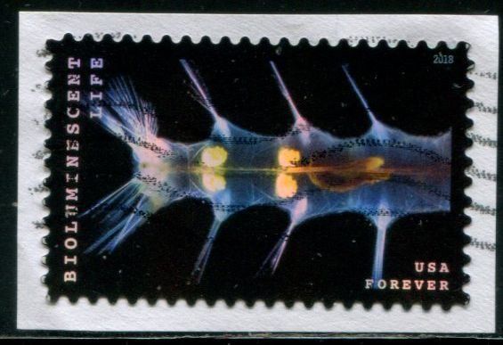 5270 US (49c) Bioluminescent Life SA, used on paper