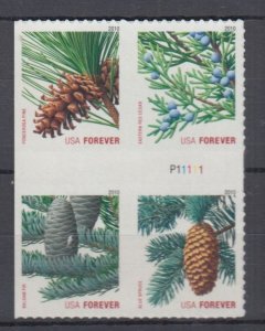 (F) ​USA Sc#4482-85 Holiday Evergreens  Block of 4  from ATM Booklet MNH