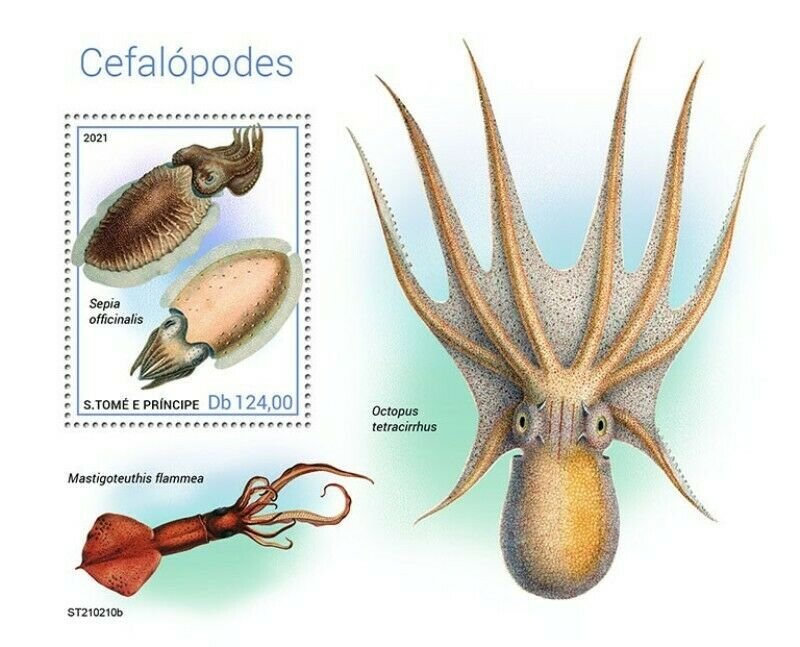 St Thomas - 2021 Cephalopods, Common Cuttlefish - Stamp Souvenir Sheet ST210210b 