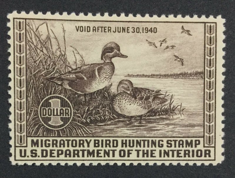 MOMEN: US STAMPS #6 RW6 DUCK MINT OG NH LOT #41409