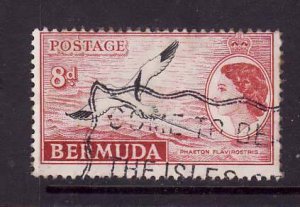 Bermuda-Sc #153-used QEII 8p red & black-Birds-1953-8-