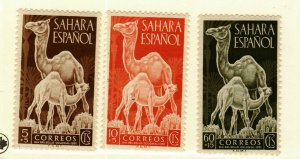 Spanish Sahara #B16-8 MNH Camels 