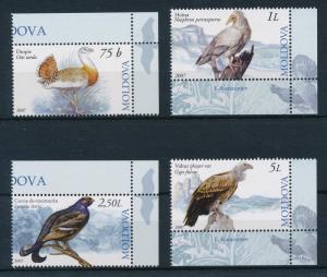 [17544] Moldova 2007 Birds Vögel Oiseaux Ucelli MNH
