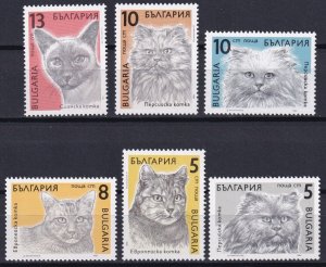 Bulgaria 1989 Animals, Pets, Cats, 6 MNH stamps 