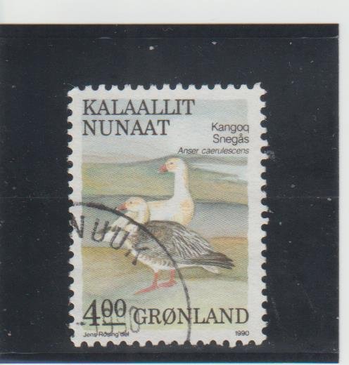 Greenland  Scott#  179  Used  (1989 Snow Goose)