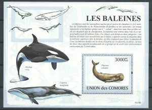 Comoro Islands   SS   Whales   Mint  NH VF   2009   PD