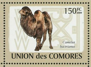 Camels Stamp Camelus Dromedarius Camelus Bactrianus S/S MNH #2128-2133 