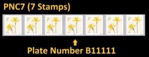 US Flowers Daffodils 2c PNC7 B11111 MNH 2024 after 7/31