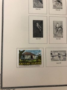 CAYMAN ISLANDS – 423901