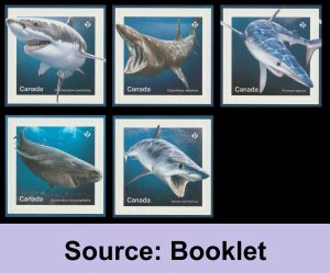 Canada 3106-3110 Sharks P set 5 B (from booklet) MNH 2018