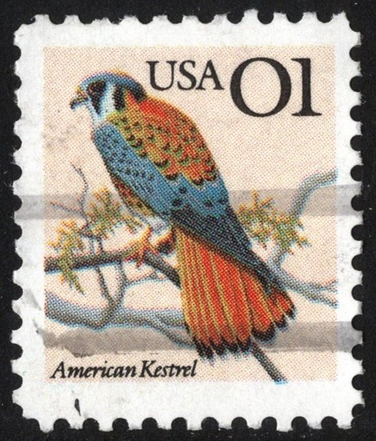 SC#2476 1¢ American Kestrel Single (1991) Used