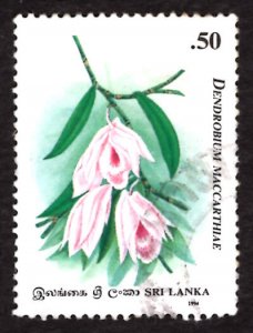 Sri Lanka 1994 Dendrobium maccarthiae Orchid Flowers 50c Scott.1122 Used (#2)