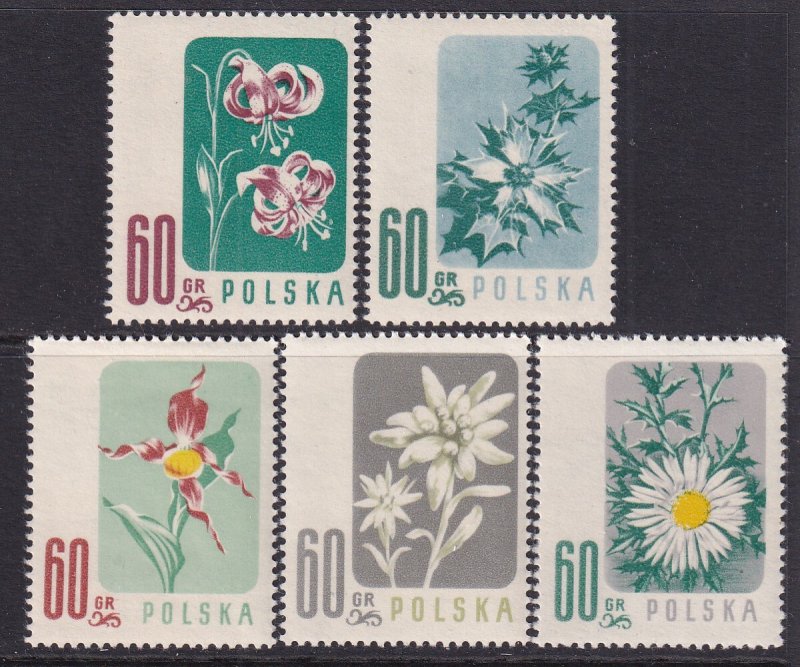 Poland 781-785 Flowers MNH VF