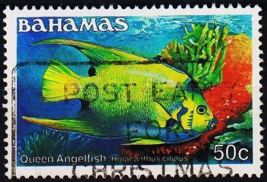 Bahamas. 1986 50c S.G.767A Fine Used