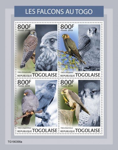 TOGO - 2019 - Falcons in Togo - Perf 4v Sheet - MNH