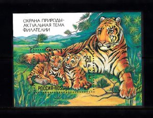 RUSSIA - SC#B185 MINIATURE SHEET OF 1 -TIGER - MNH