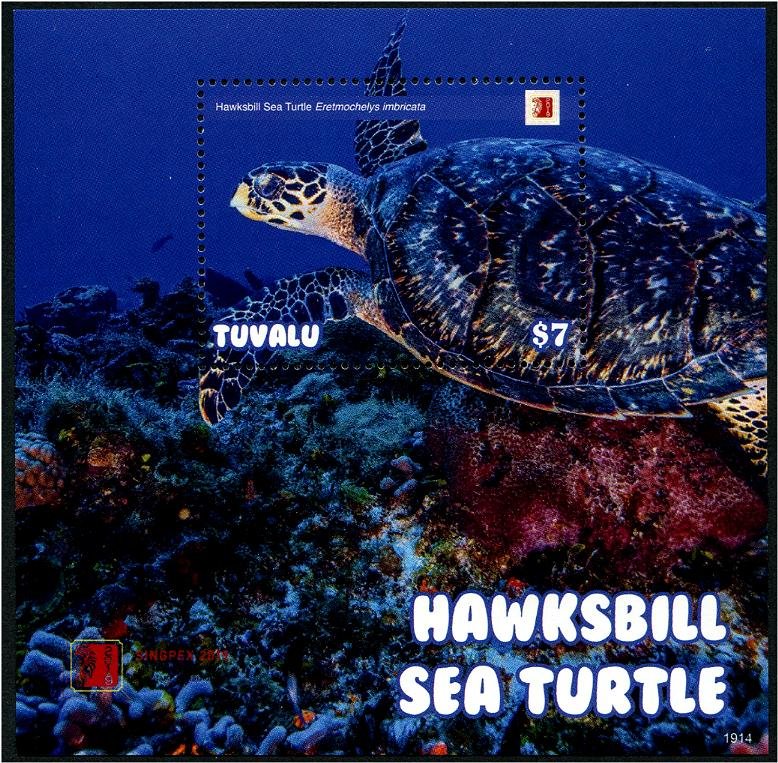 2020 Tuvalu Hawksbill Sea Turtles SS (Scott NA) MNH