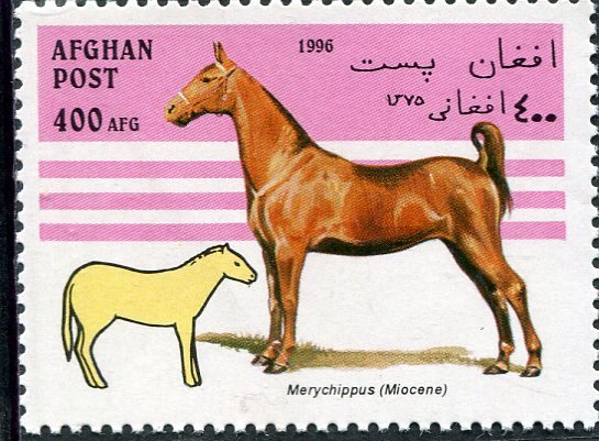 Afghanistan 1996 HORSE 1 value Perforated Mint (NH)