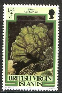 British Virgin Islands; 1980: Sc. # 364: **/MNH Single Stamp