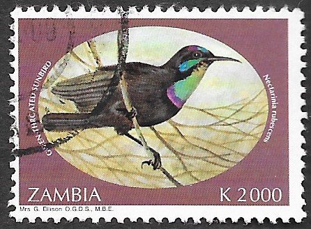 Zambia Scott #638 2000k  Green-Throated Sunbird (1993) used