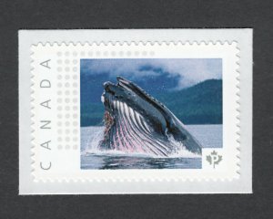 lq. WHALE = picture postage personalized stamp Canada 2014 MNH p5-mL3--1