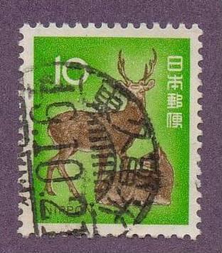 1069 sika deer - Japan