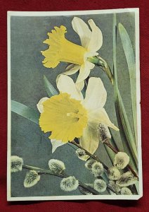 WW2 WWII German Third Reich era Color Flowers Postcard w Adolf Hitler stamp