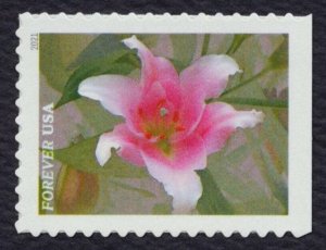 #5558-5567 Garden Beauty, Singles, Mint **ANY 5=FREE SHIPPING**